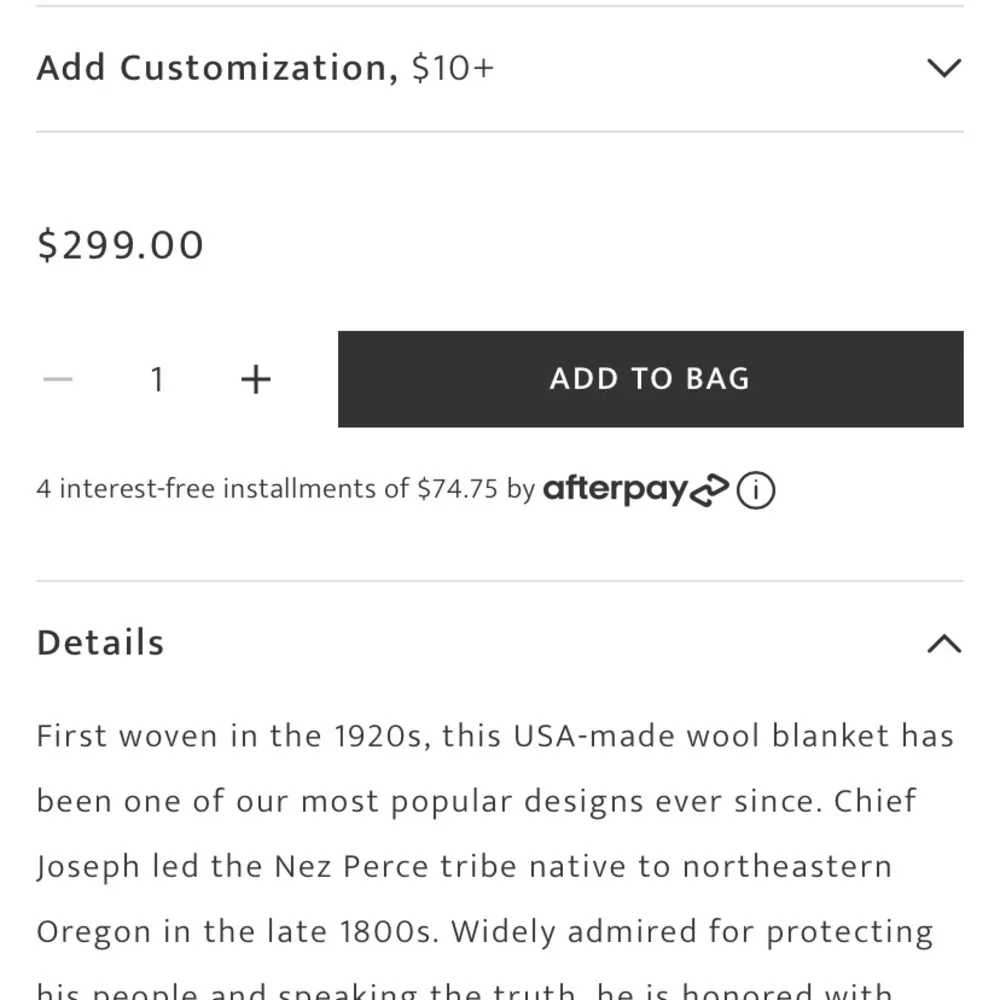 New Pendleton Chief Joseph Blanket (no fringe) - Picture 6 of 6